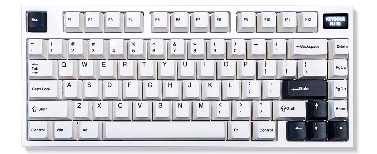 nj81 keyboard white version